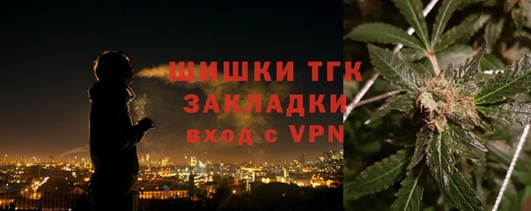 шишки Армянск