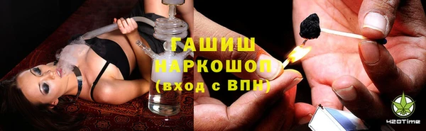 стаф Арсеньев