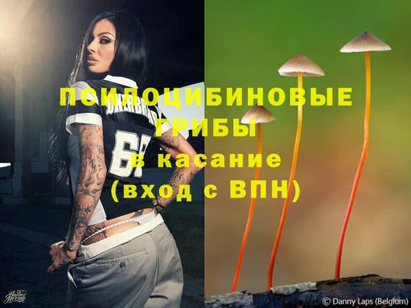 ешки Балахна
