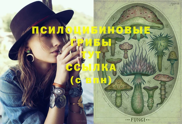 таблы Аркадак