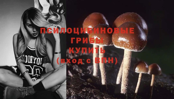 шишки Армянск