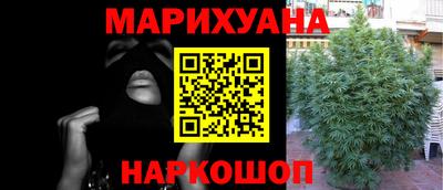 соль ск Новозыбков