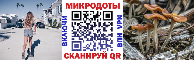 Псилоцибиновые грибы GOLDEN TEACHER Чернушка