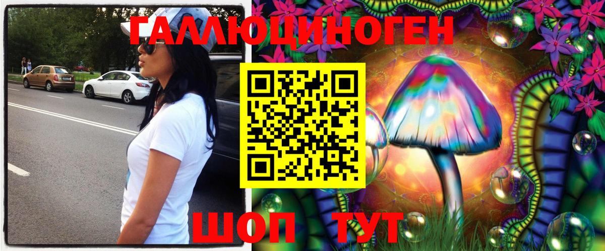 Псилоцибиновые грибы GOLDEN TEACHER Чернушка